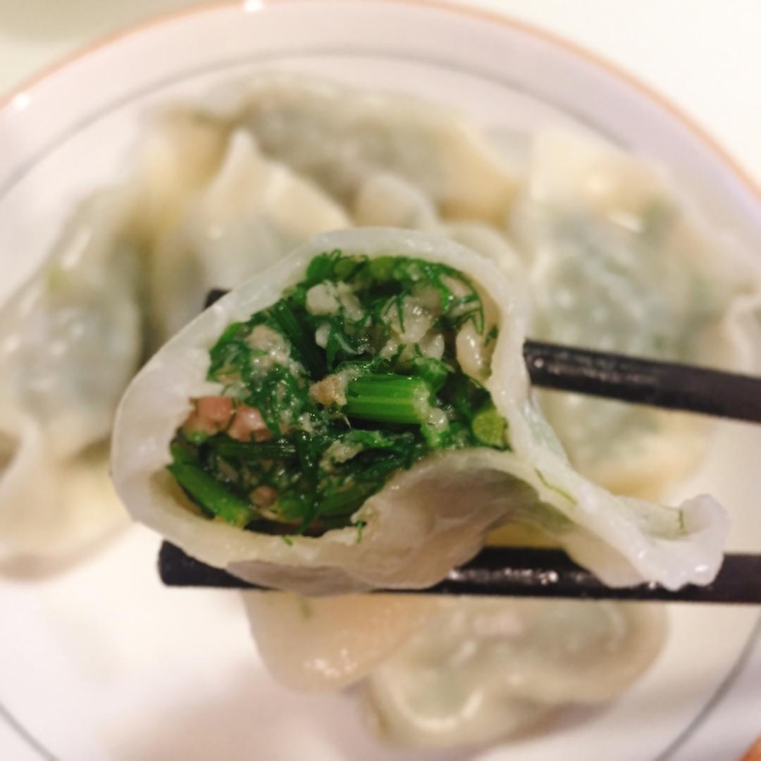 echoecho3104做的猪肉茴香饺子