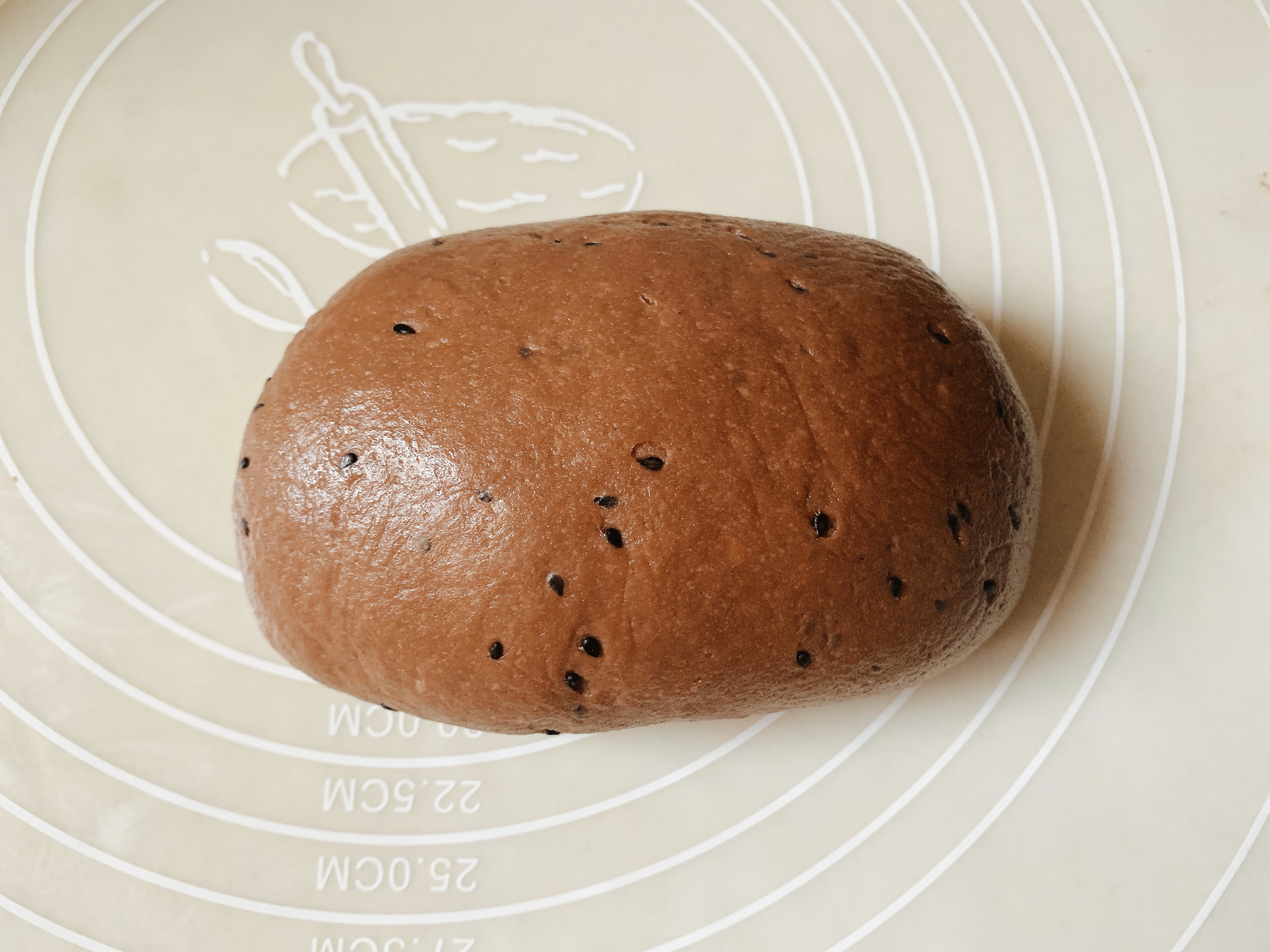 恐龙蛋～原味➕可可麻薯面包的做法 步骤9
