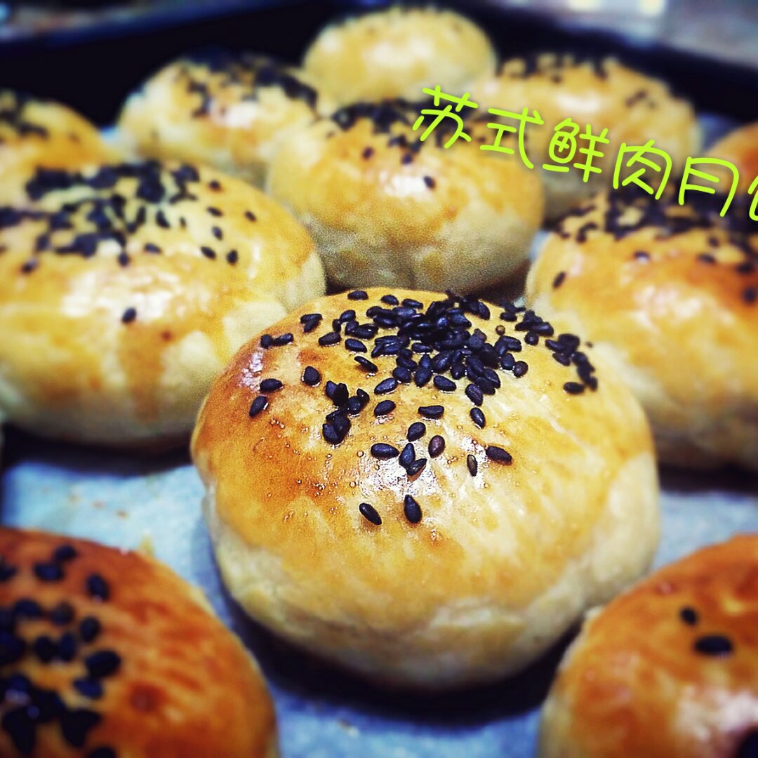 泳式鲜肉榨菜月饼