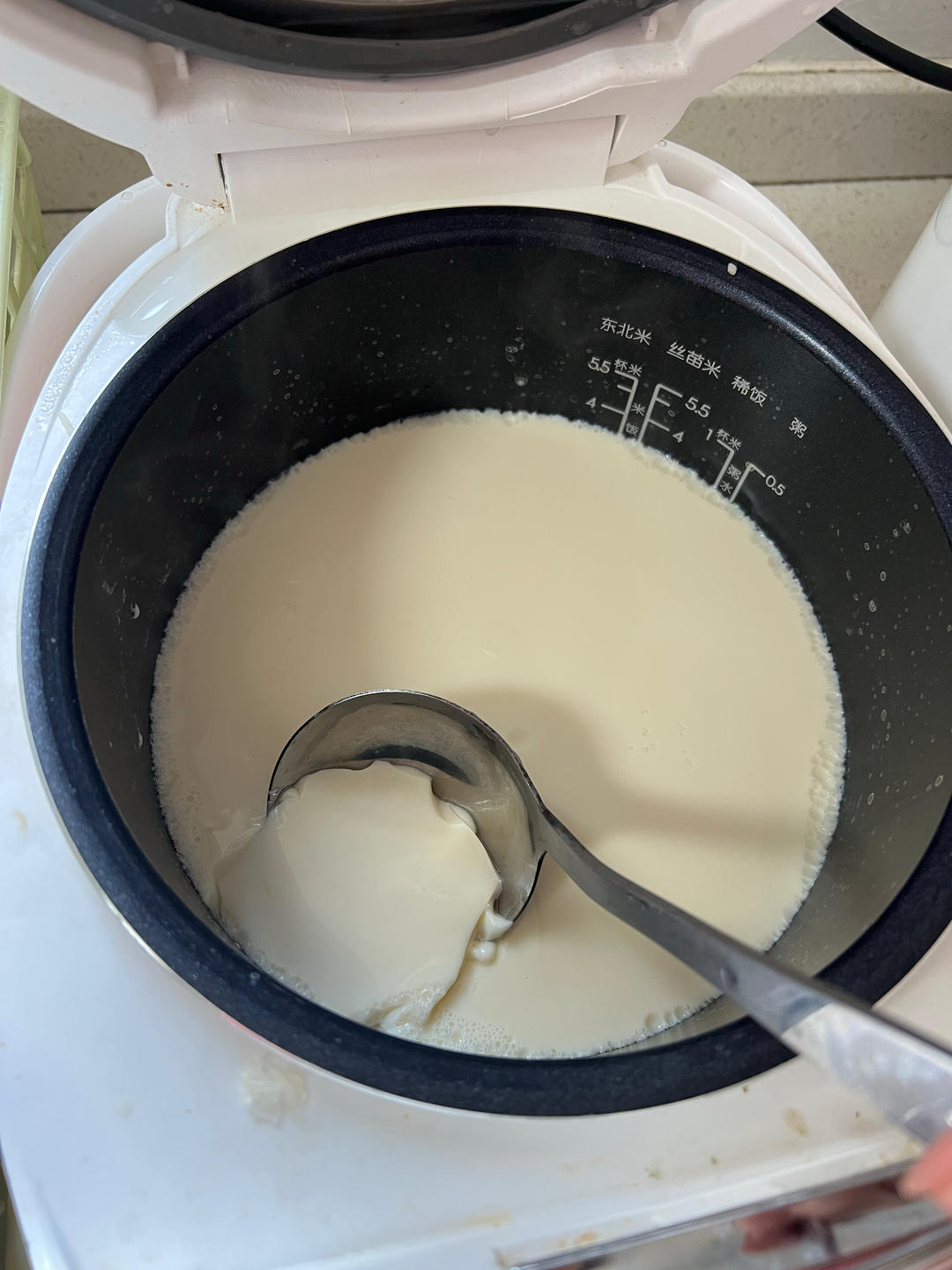 自制豆腐、豆腐脑（超详细）