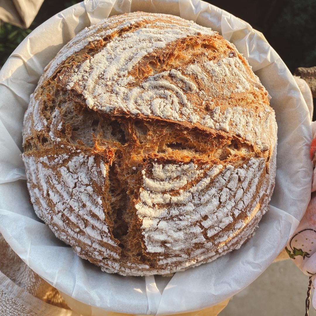 🍞免揉欧包新手入门指南（冷藏发酵、无油无糖）