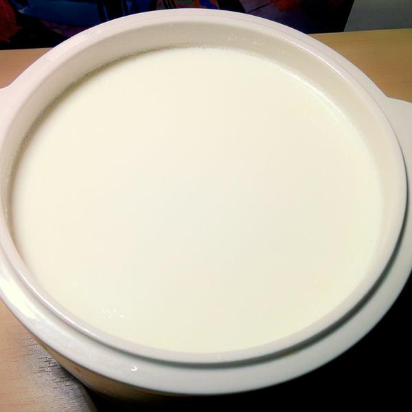 隔水炖版酸奶