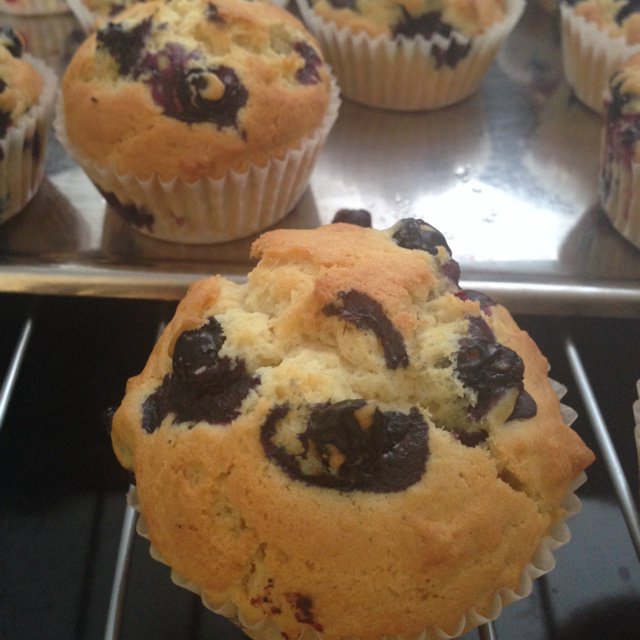 鲜奶油蓝莓纸杯蛋糕 Blueberry Crème  fraîche cupcake