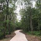 手机用户4417_t279