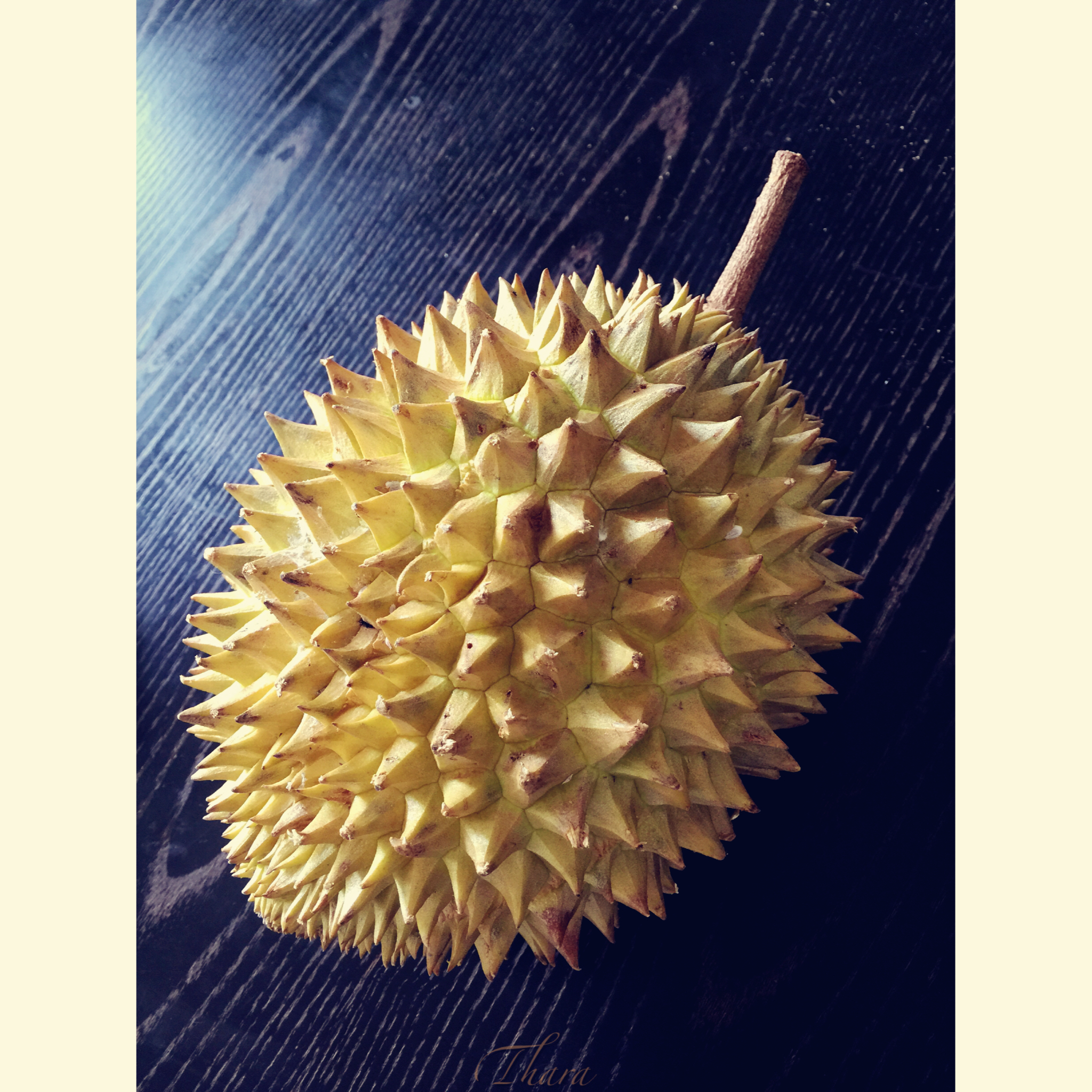 我在斯里兰卡，你在哪？