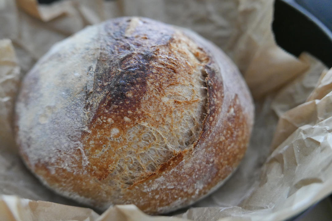 视频教程 天然酵种欧包 基础配方＆制作流程