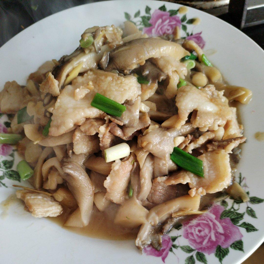 平菇/海鲜菇炒肉