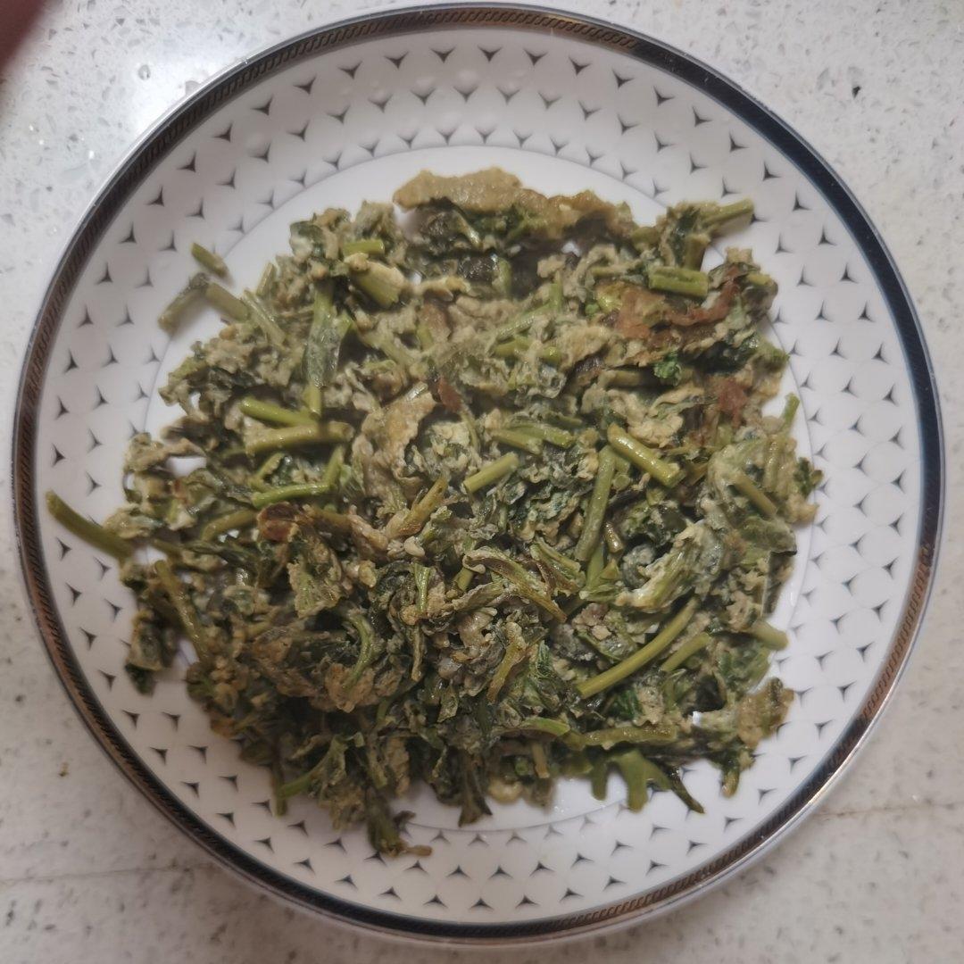 🌱春之香椿炒蛋🥚