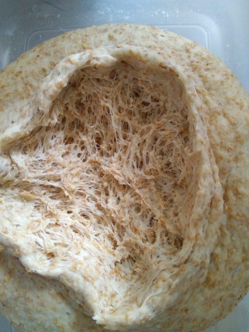 100%纯全麦吐司 中种法