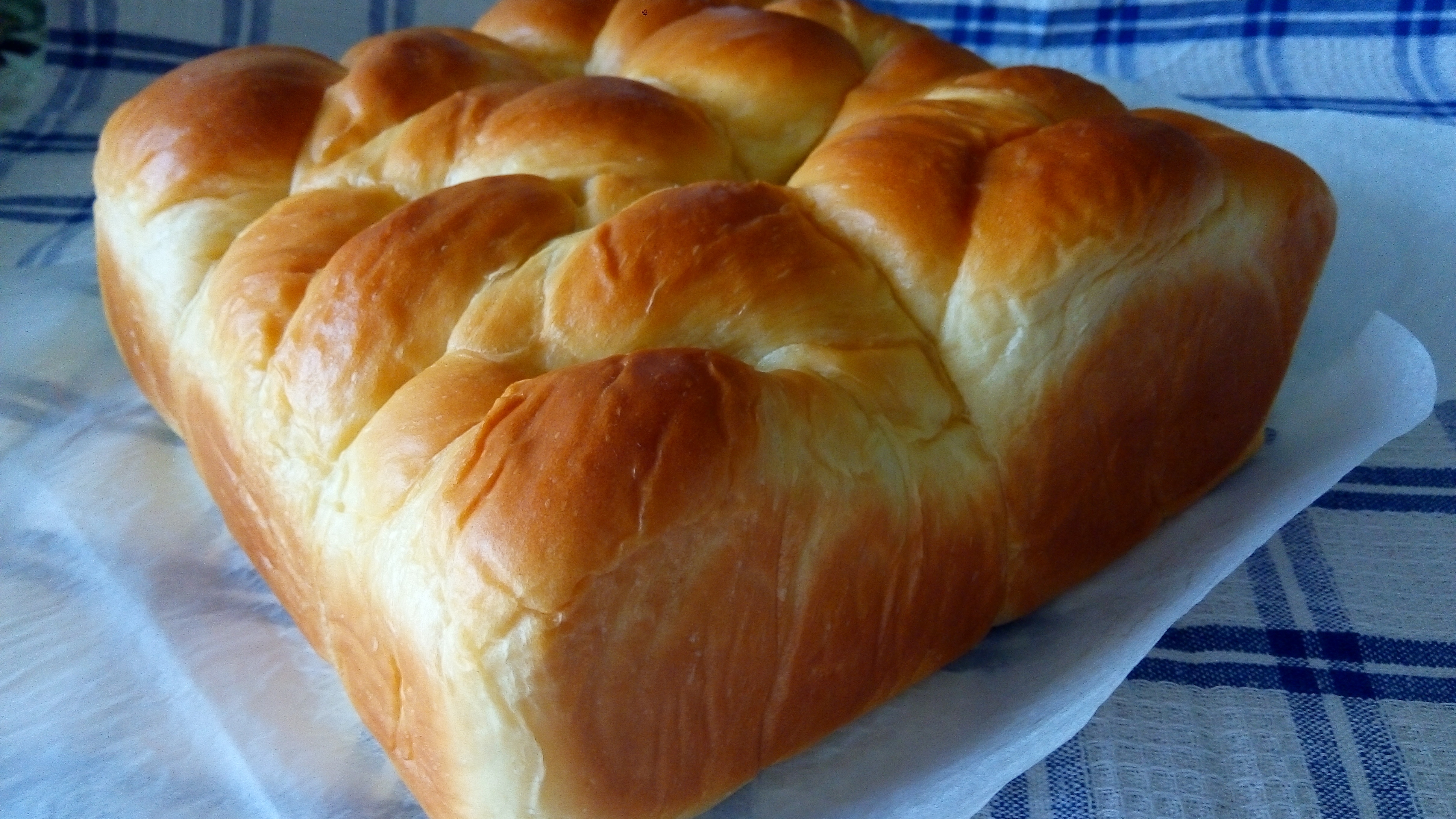 吃不够的老面包