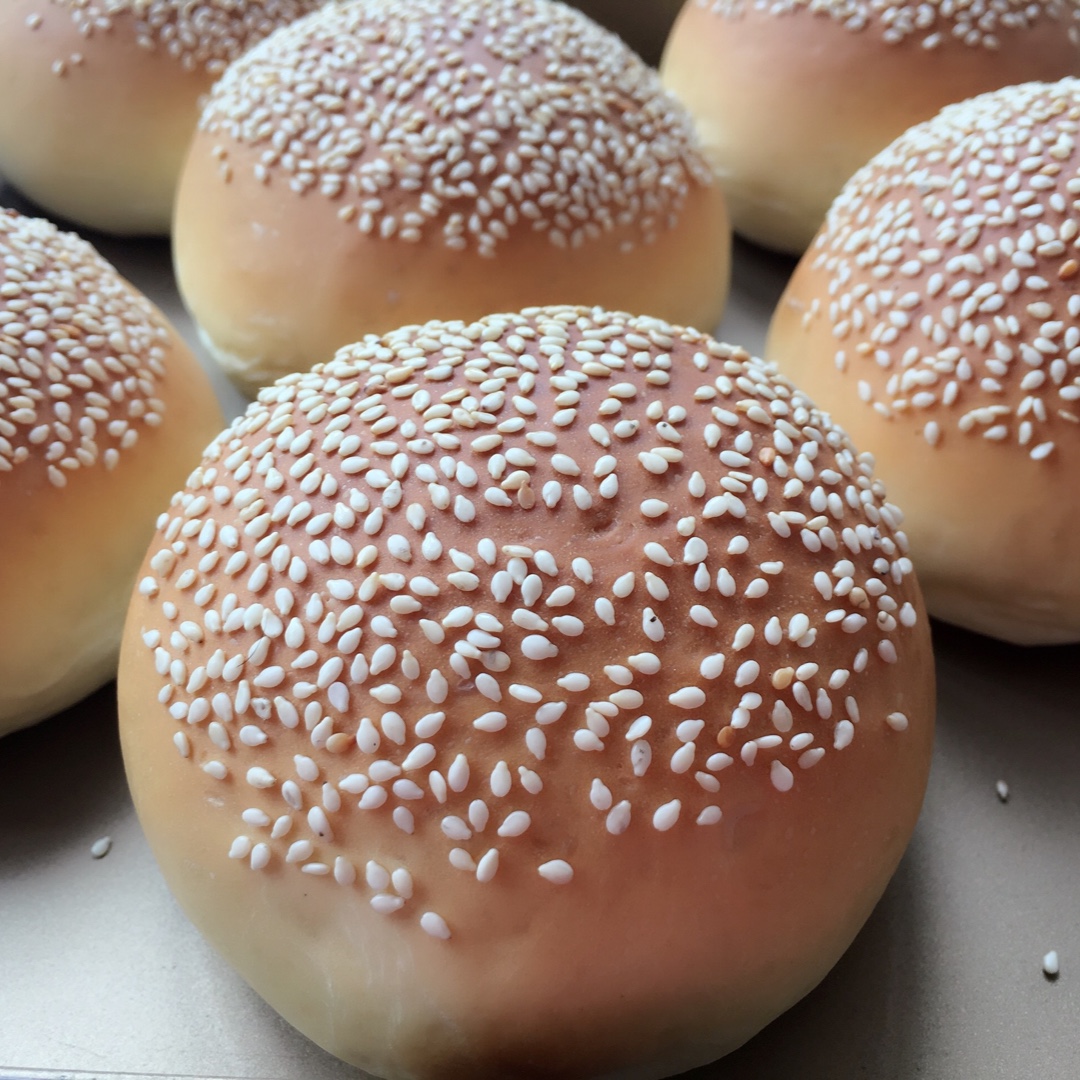 小鱼518做的汉堡胚 poolish(波兰种)