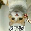 妍诺麻麻