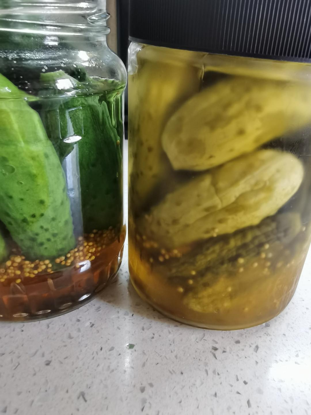 爽脆可口俄式酸黄瓜的做法