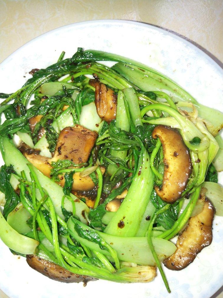 青菜烧香菇