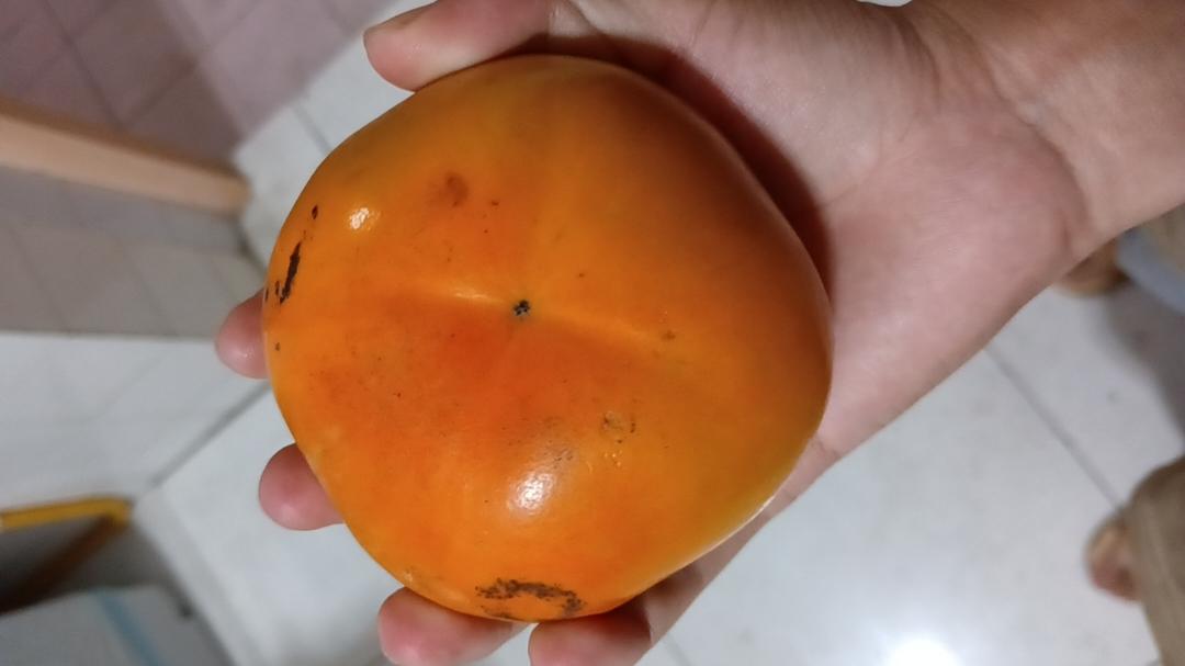 云湖