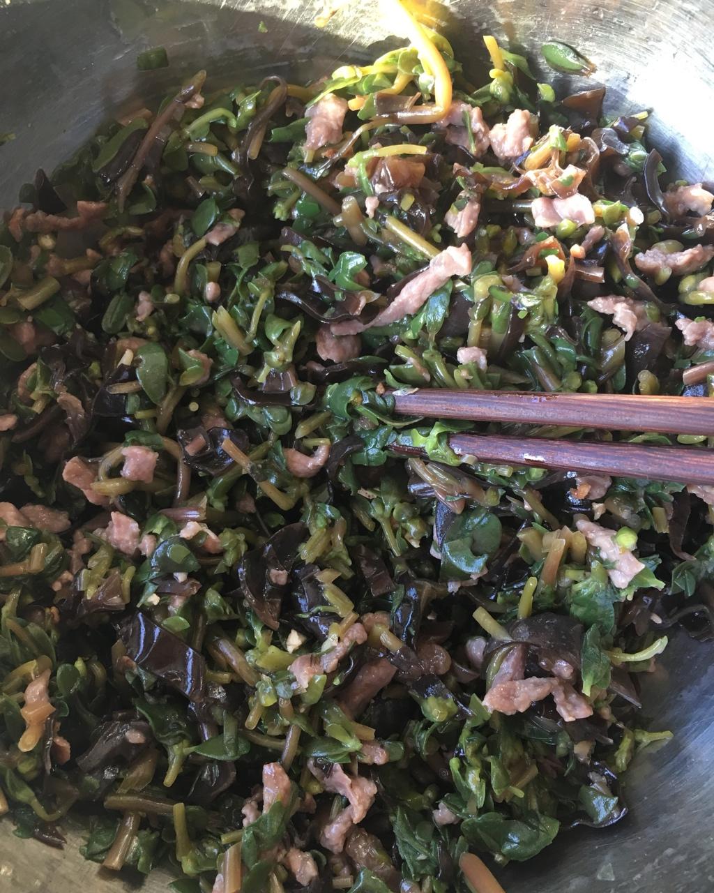 马齿笕肉包