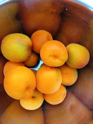 夏天-自制杏罐头的做法 步骤1