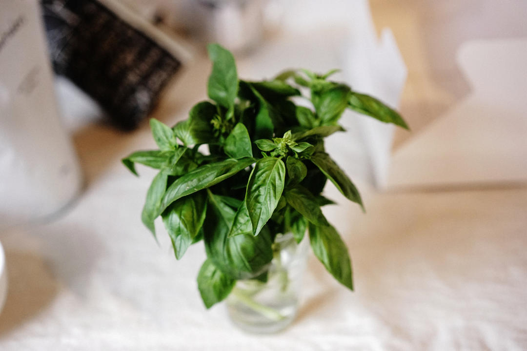 落落落落做的文怡保鲜食用香草的方法