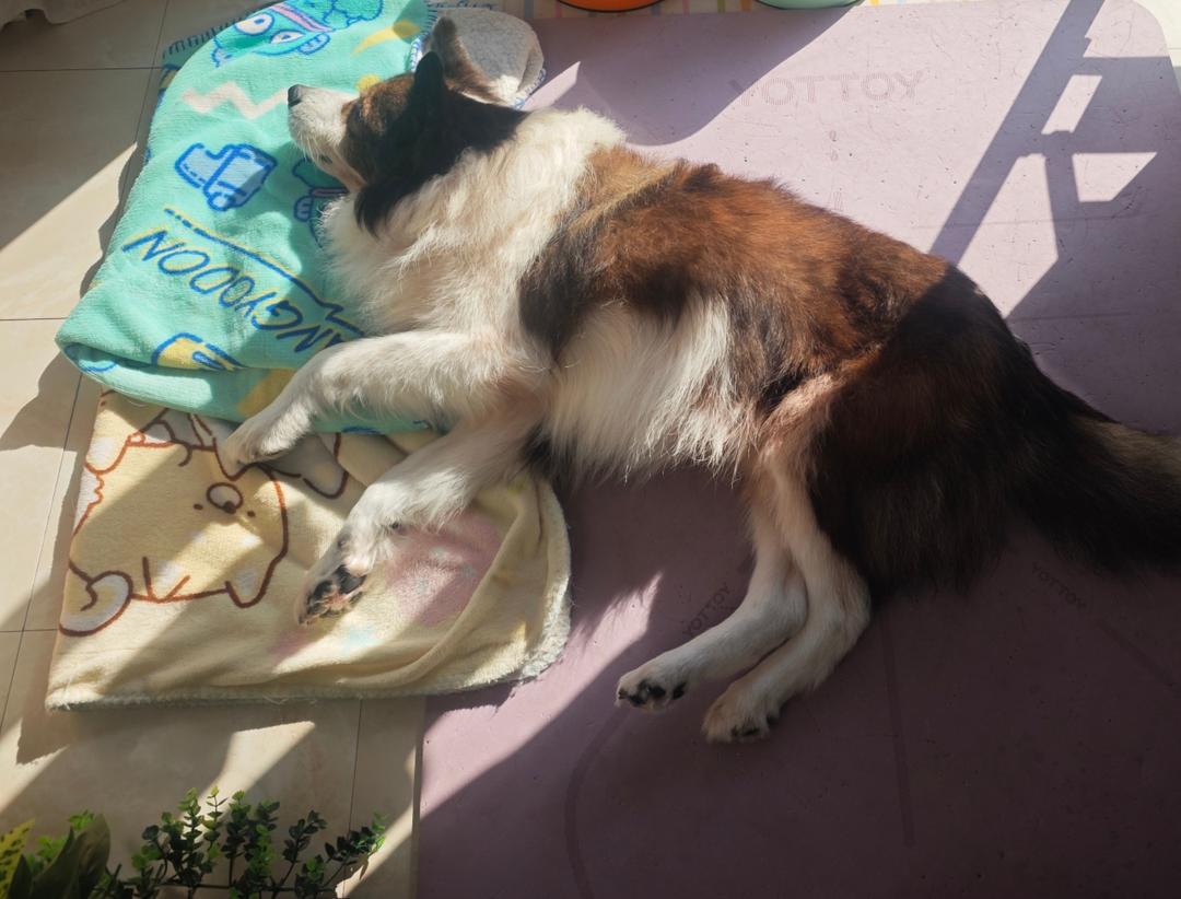 快乐的面包宝贝