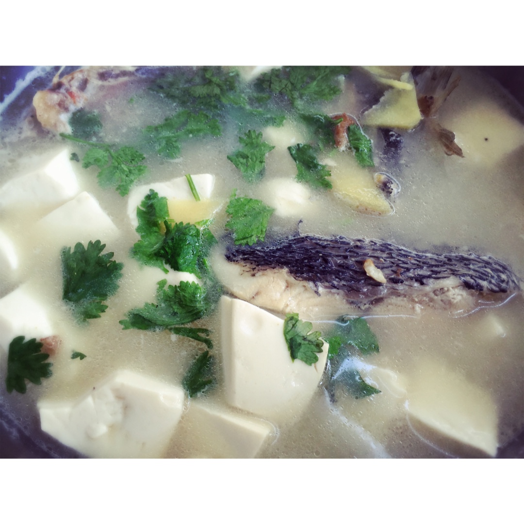 鱼头豆腐汤