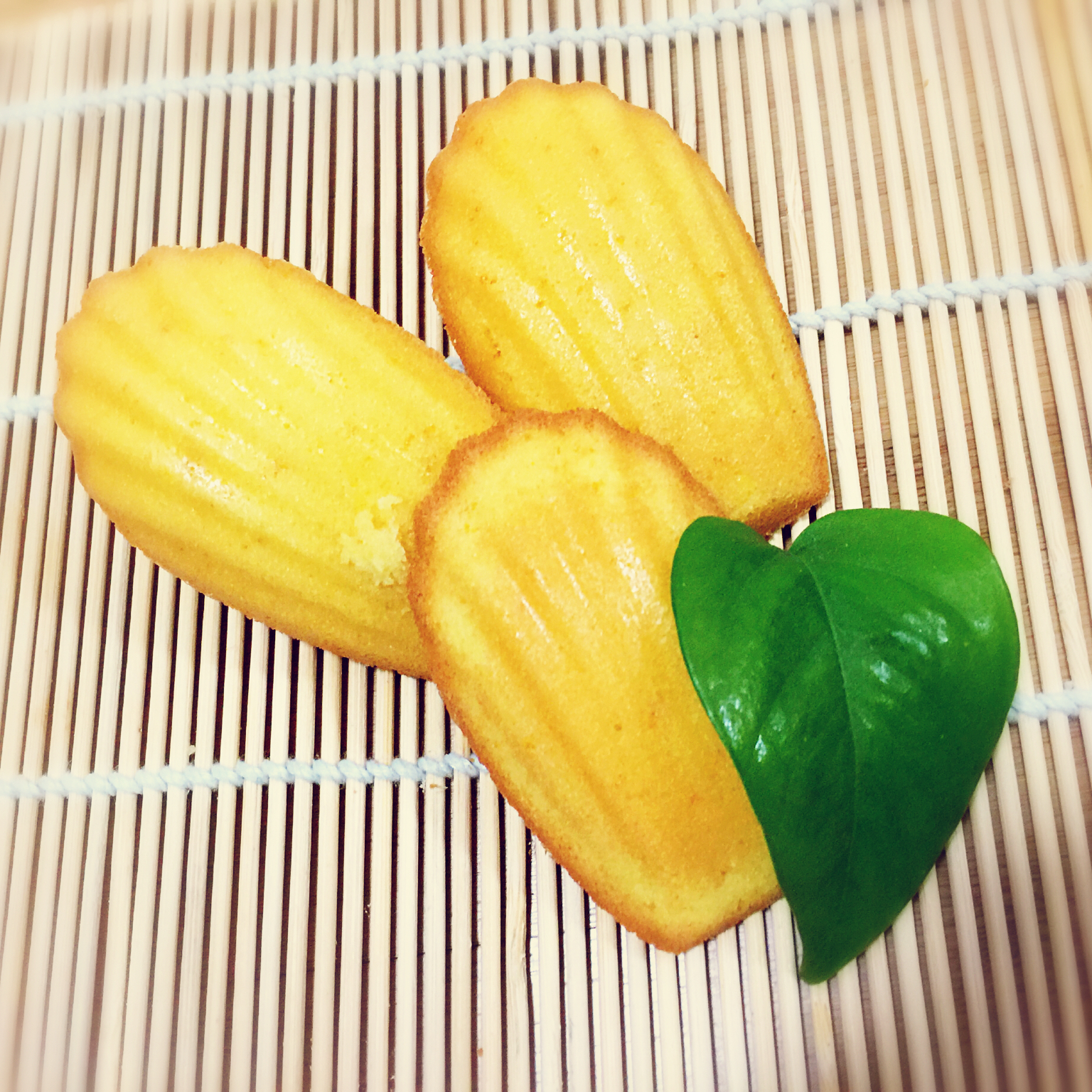 玛德琳（蓝带方）