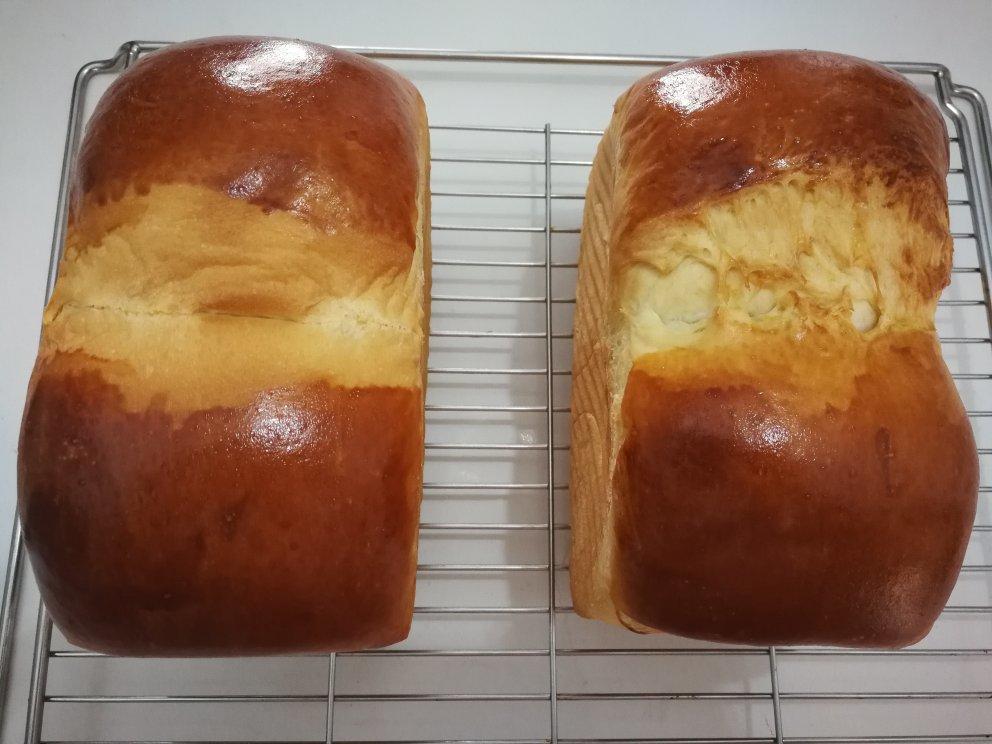 酸奶吐司（100%中种法）可以吃到酸奶的吐司