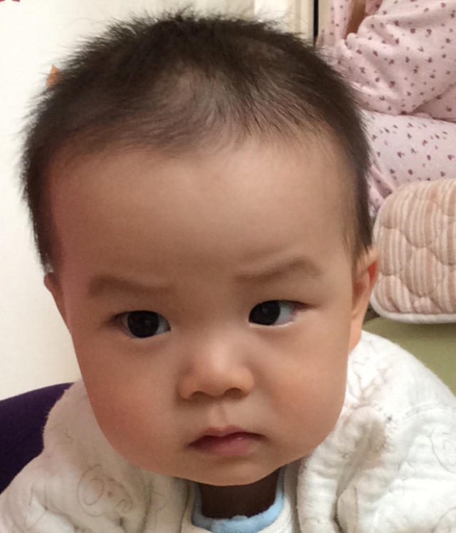 静心素雅_淡看浮华