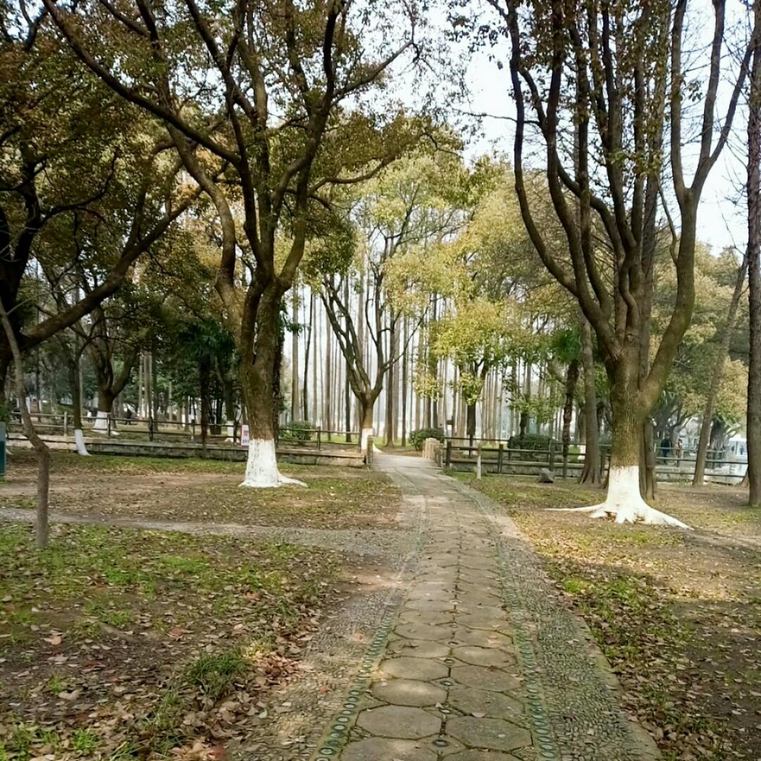 linda_私人小厨房