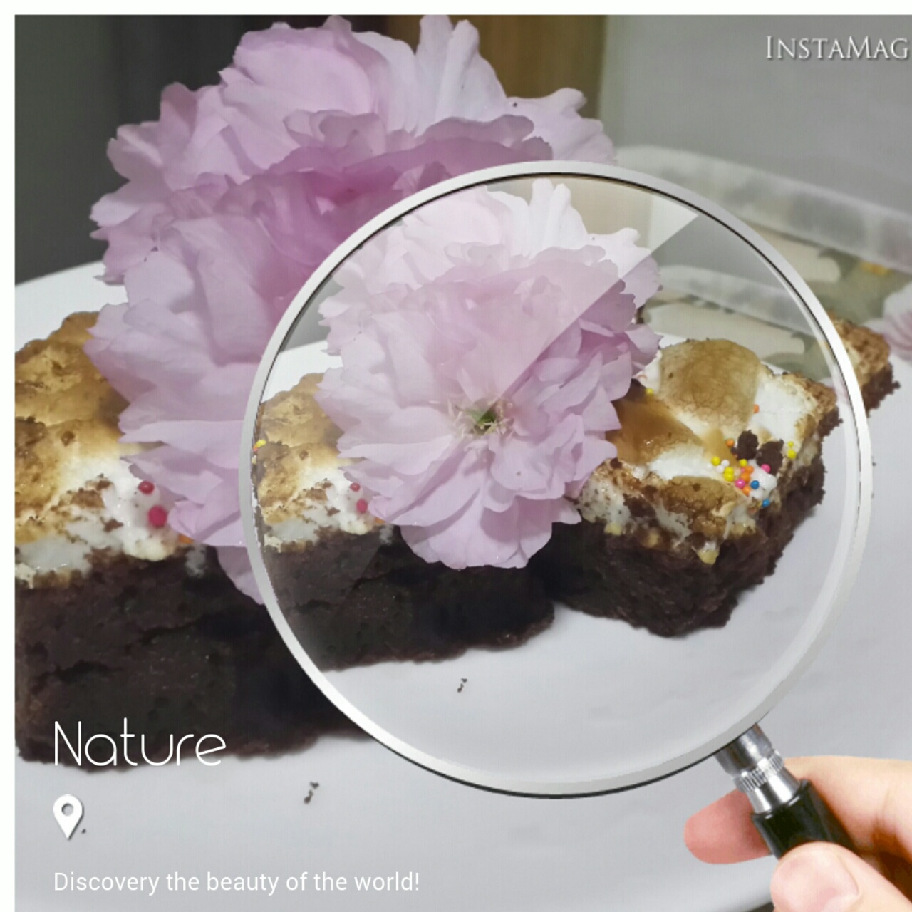 棉花糖布朗尼 Marshmallow Brownies