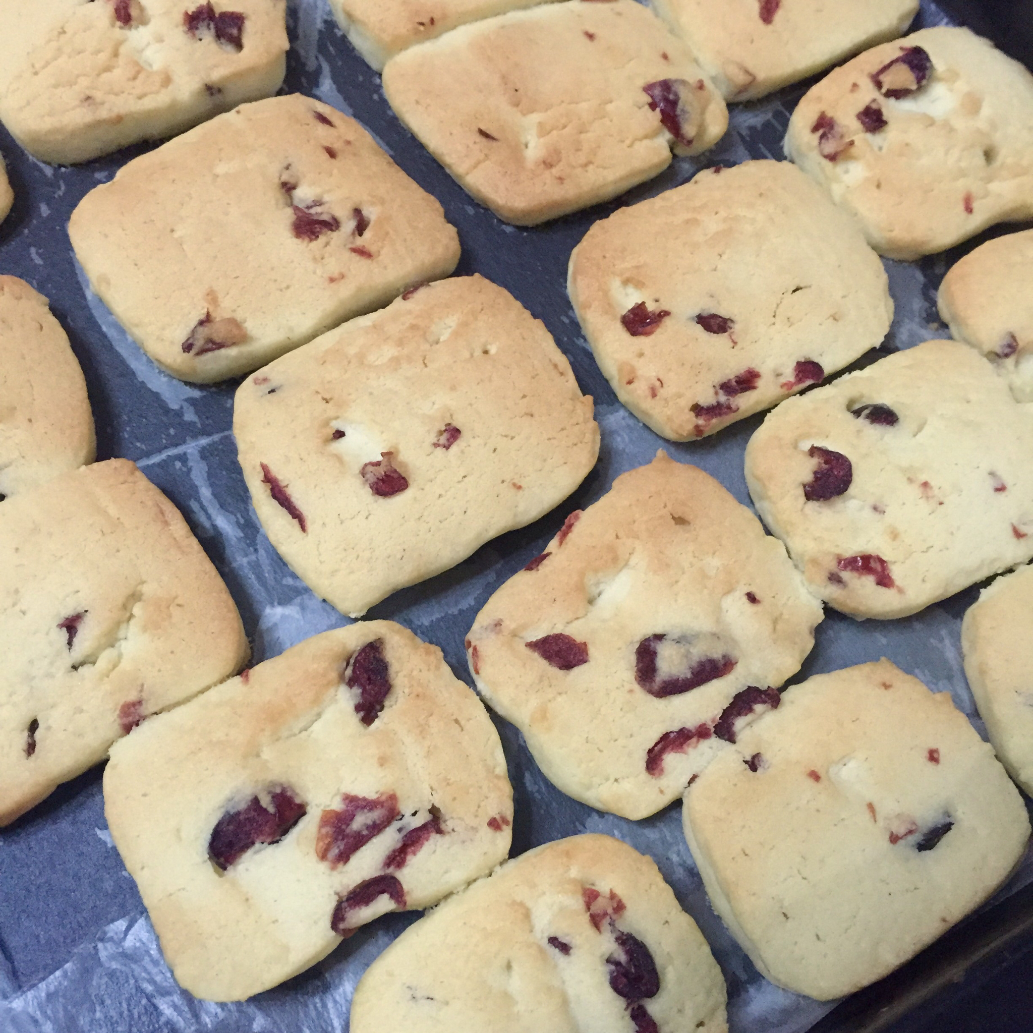 玉木奈奈子做的蔓越莓饼干--新手烘焙0压力 #皮黑森林