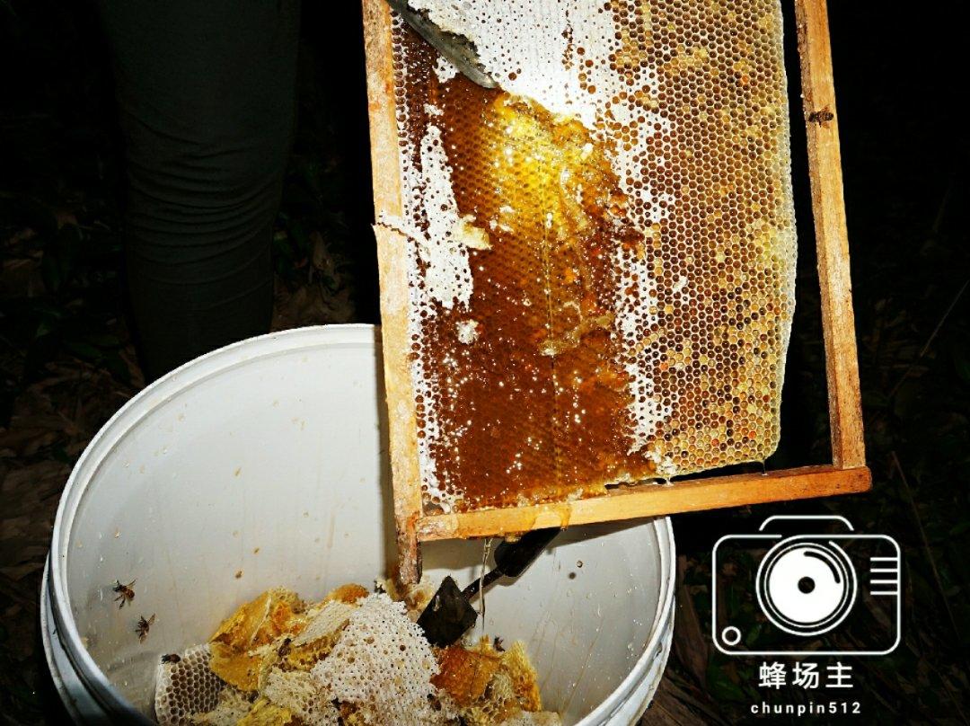 晚餐•2019年4月25日