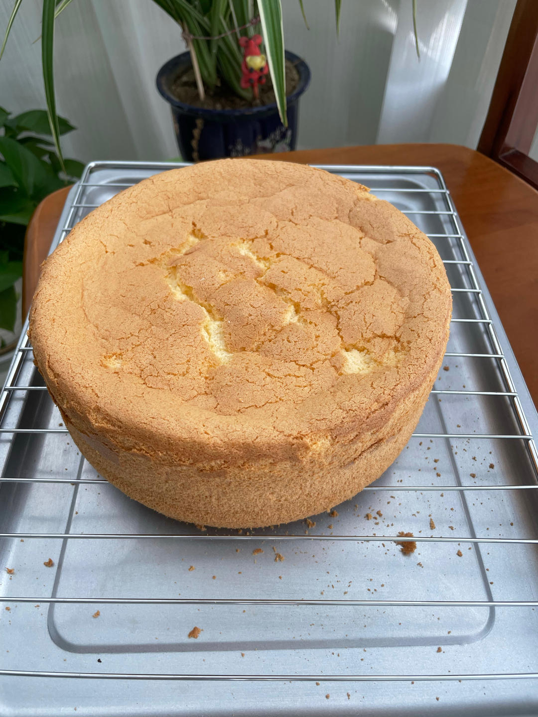 超柔软6寸戚风蛋糕(附8寸配方)零失败 超详细‼️含操作视频