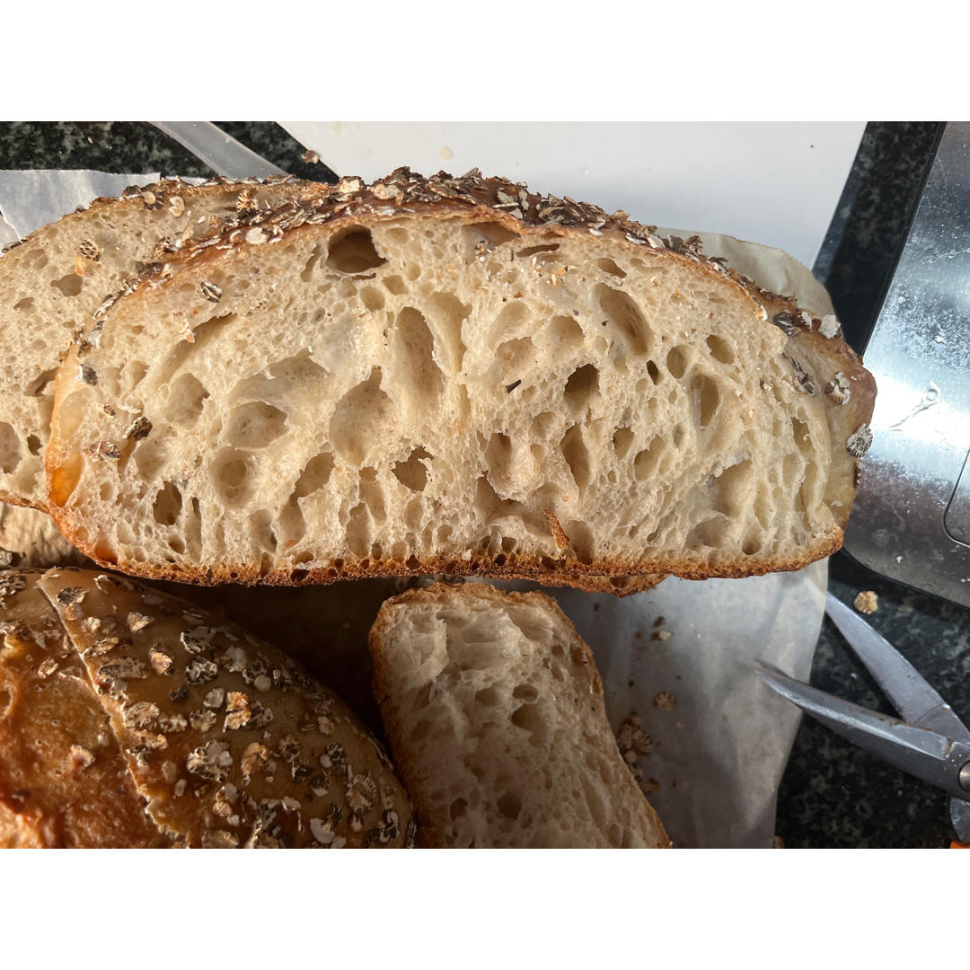 基础欧包练习-室温折叠隔夜冷藏（波兰种）