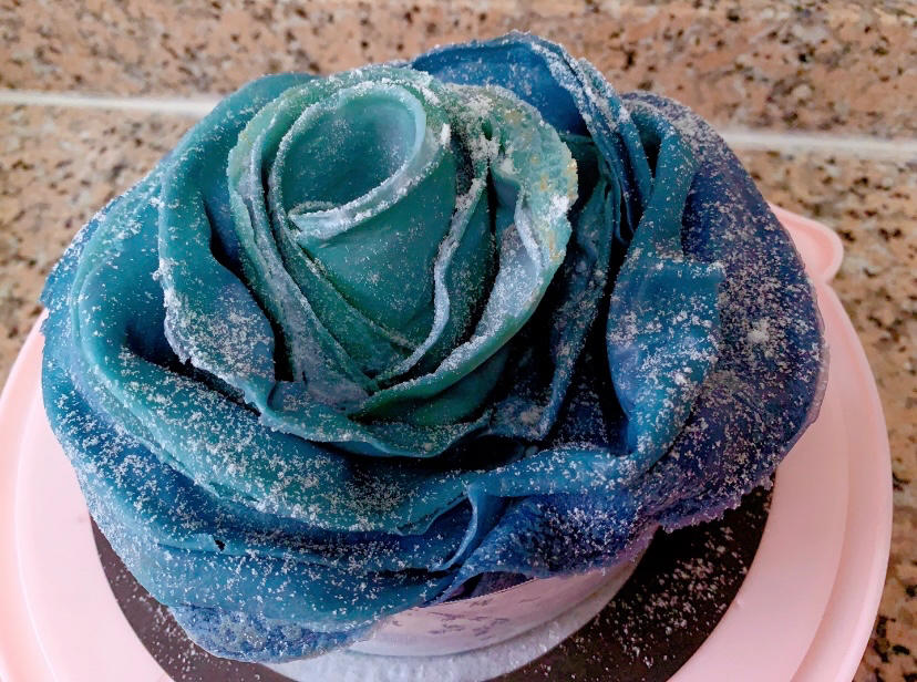 椰椰海蓝玫瑰千层