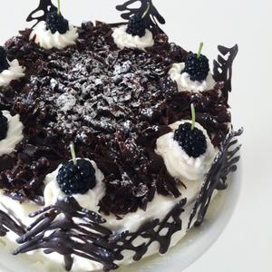 黑森林巧克力奶油蛋糕的做法 步骤10