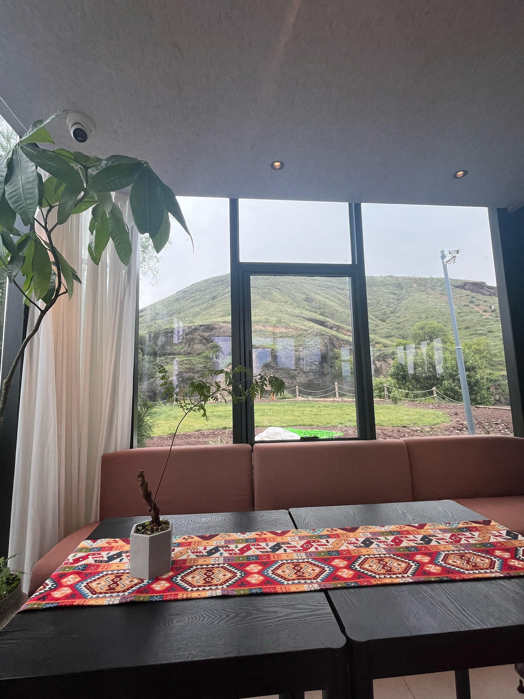 柚子榴莲菠萝蜜