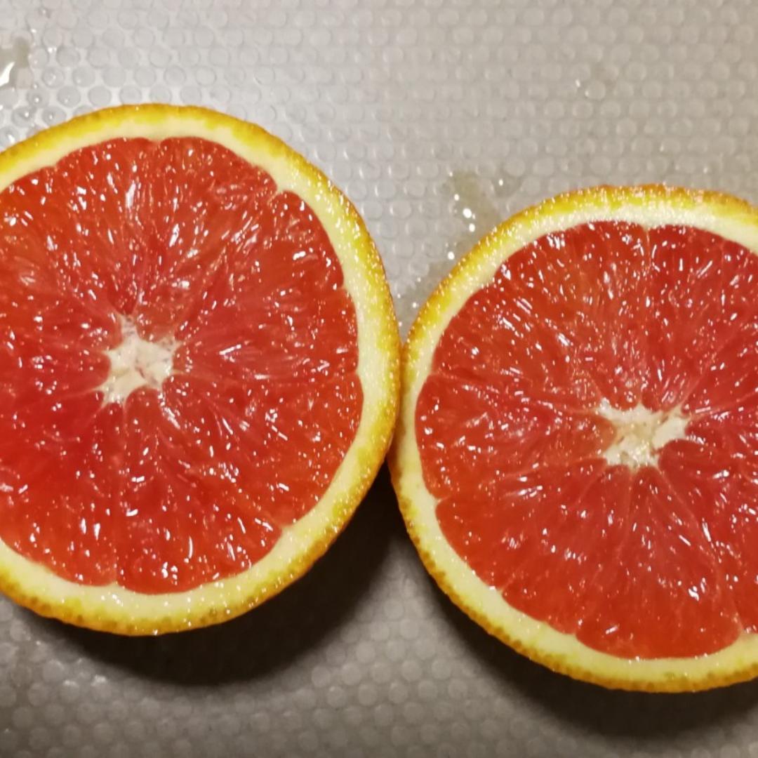 美美鲨爱劳动