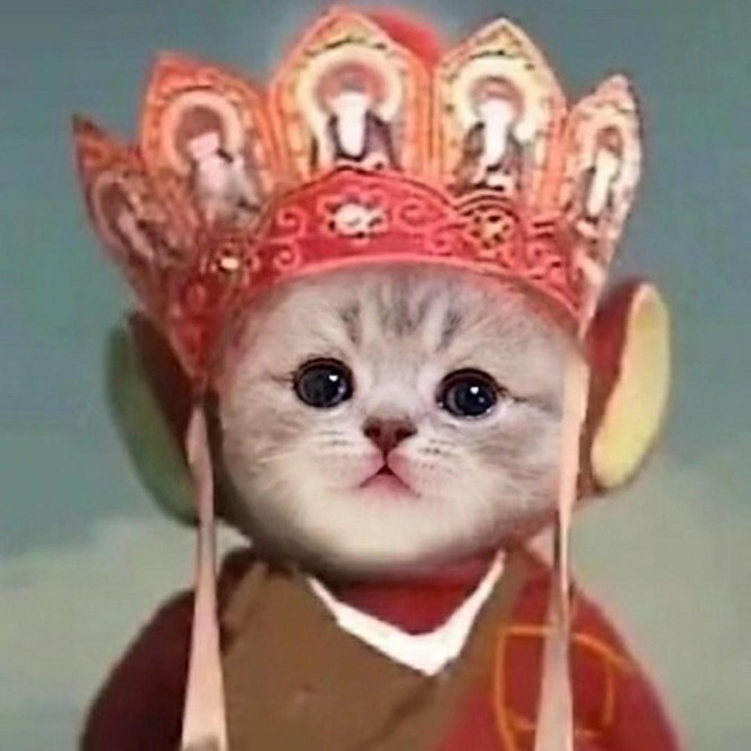 小汤姆8