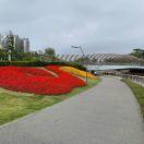 手机用户3332_8s52