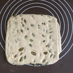 全麦葡萄干面包的做法 步骤8