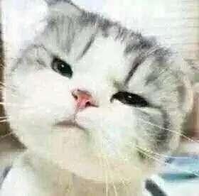 牛肉拉面味儿的紫菜鸡蛋汤