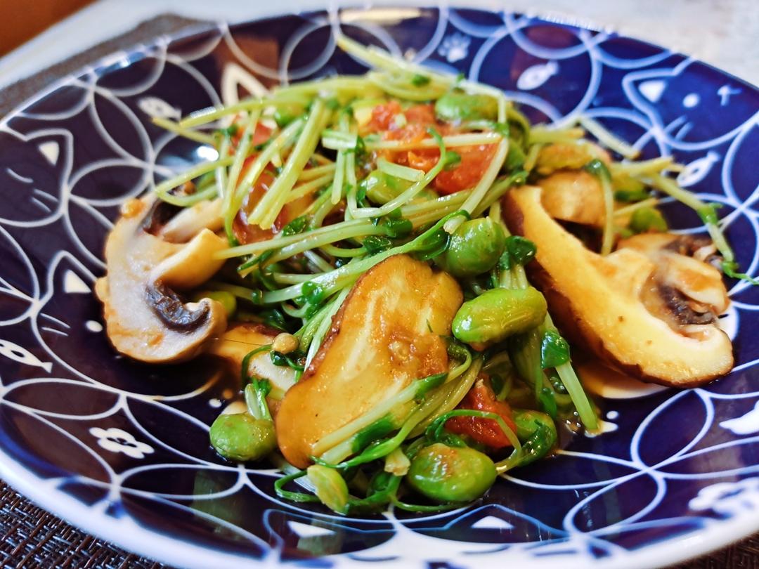 自发豌豆苗