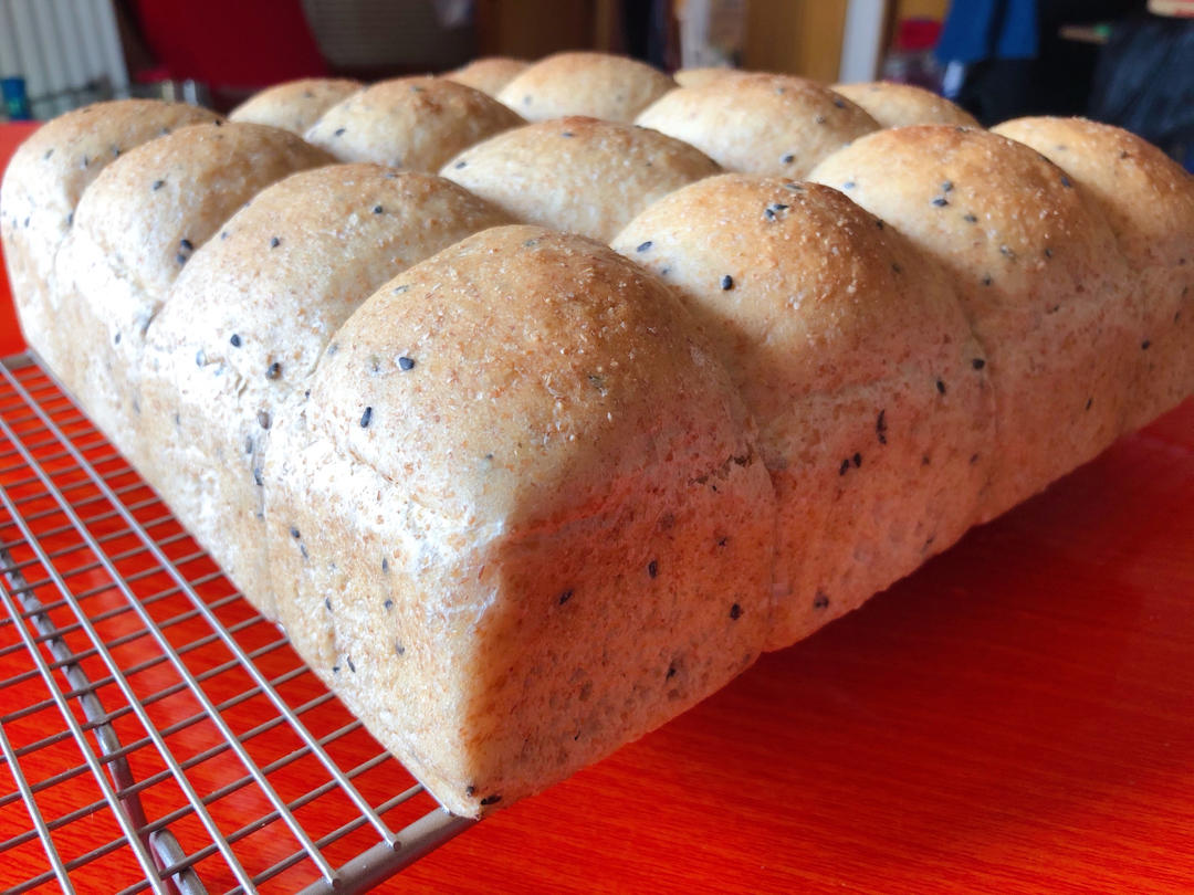 波兰种全麦面包🍞