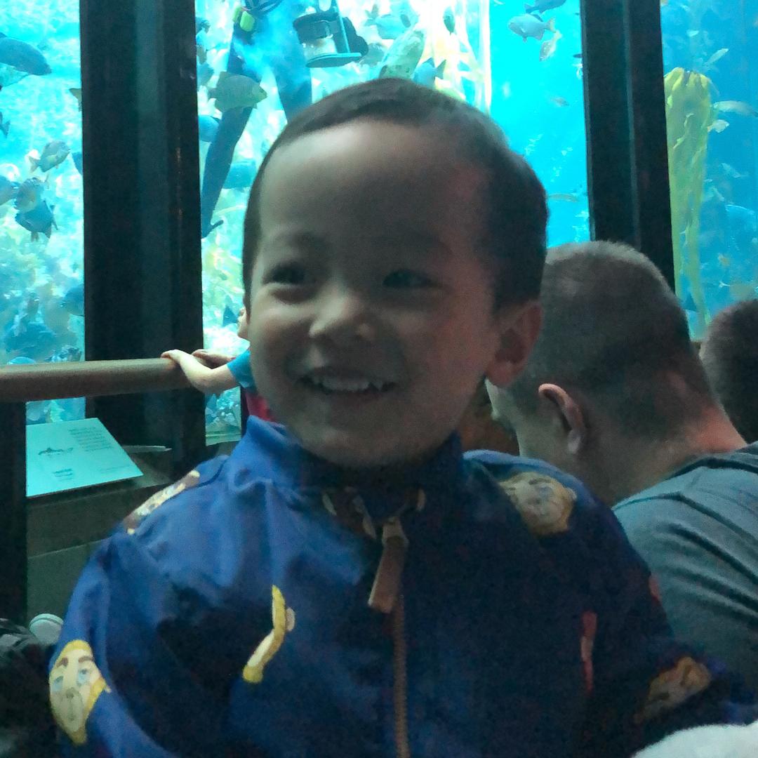 小章鱼的爸爸