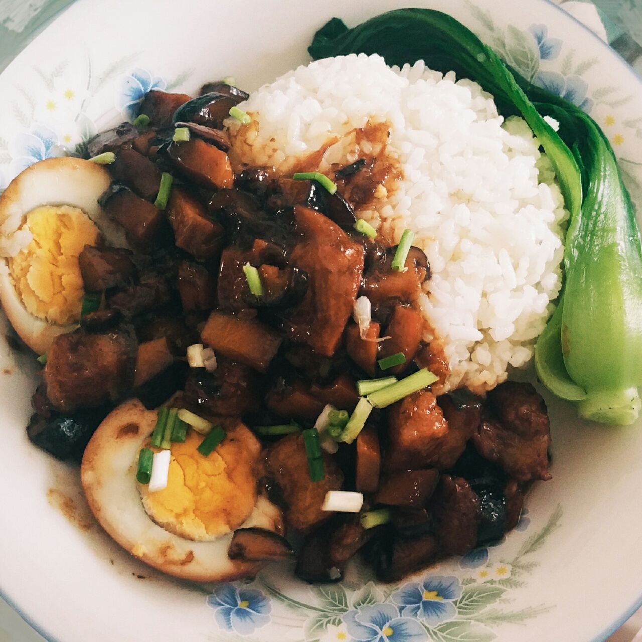 洋葱酥卤肉饭