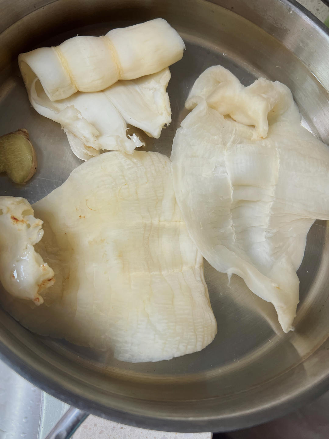 花胶泡发（新手学得会）