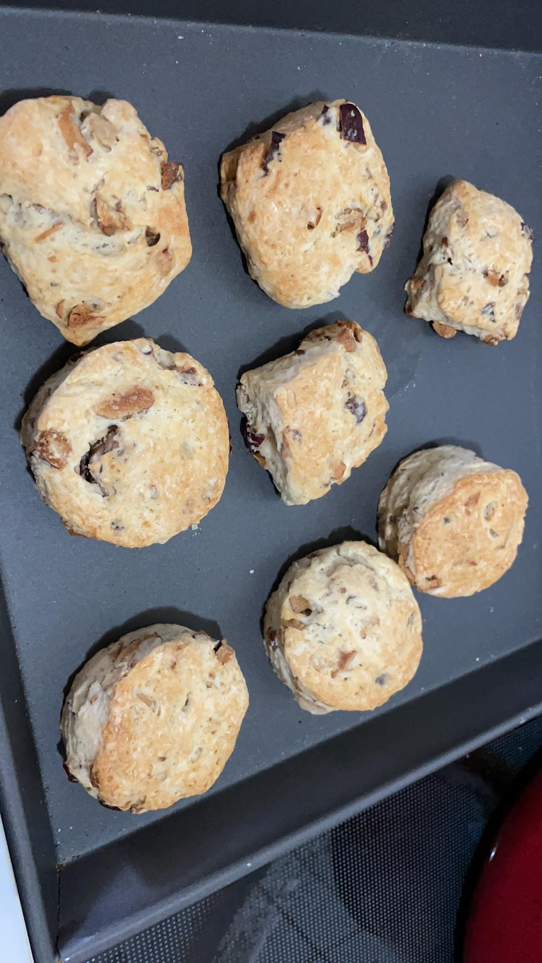 中岛老师的燕麦饼干