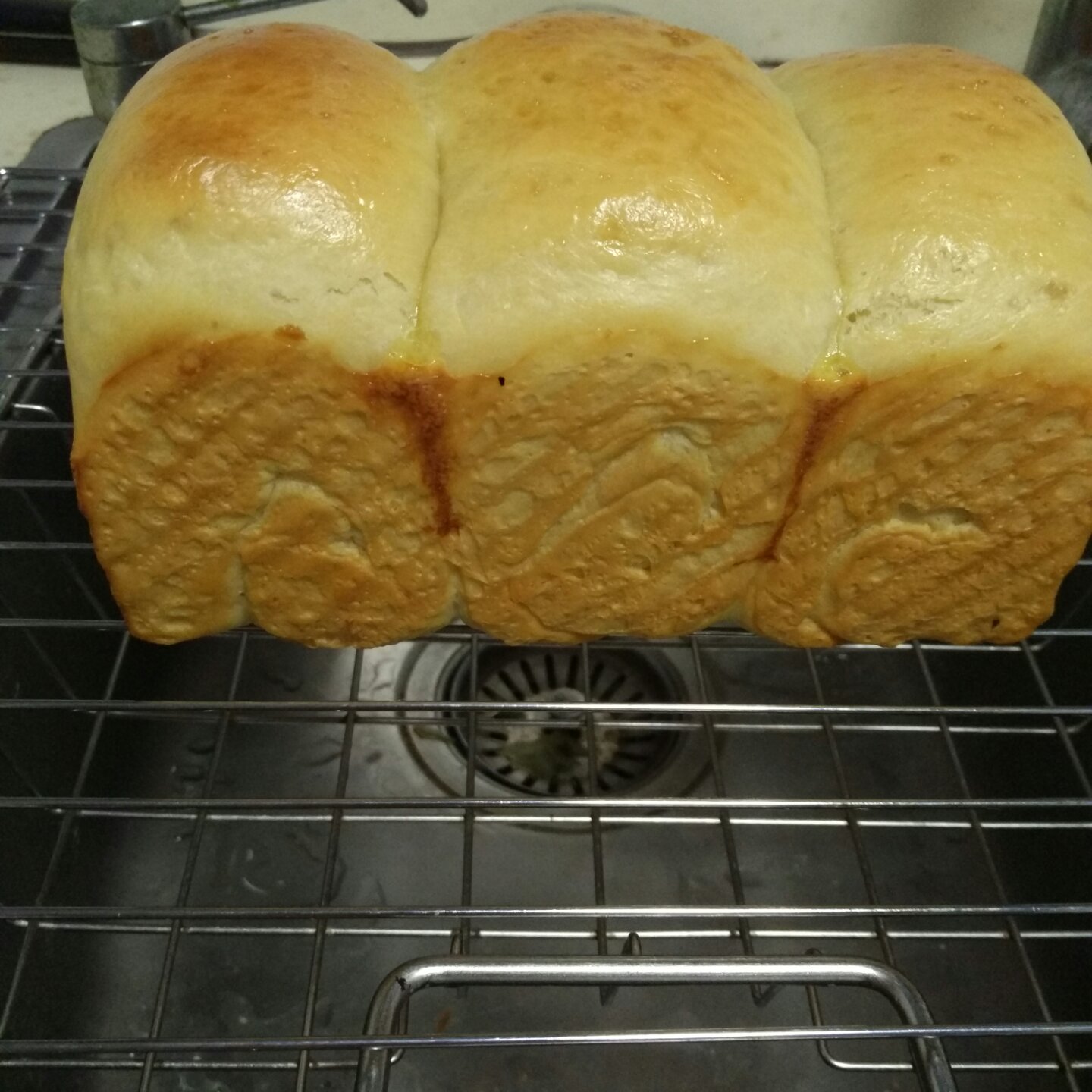 北海道巨蛋吐司