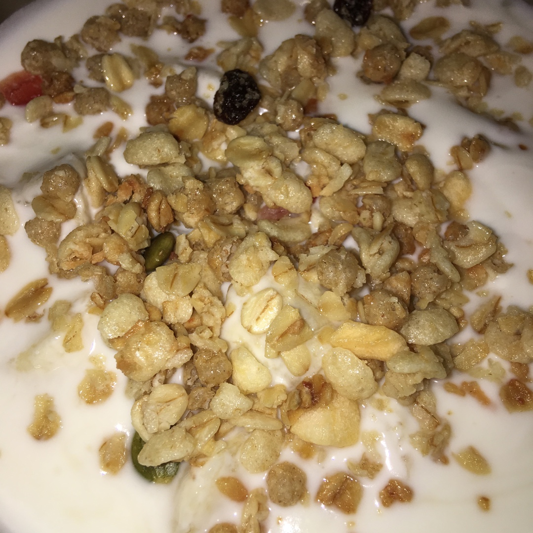 酸奶机自制酸奶