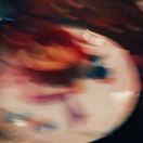 吐司吐司猫一只